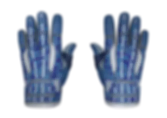 ★ Sport Gloves | Amphibious (Well-Worn) float preview 6 %