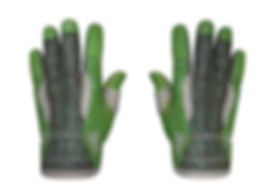 ★ Sport Gloves | Hedge Maze (Well-Worn) float preview 6 %