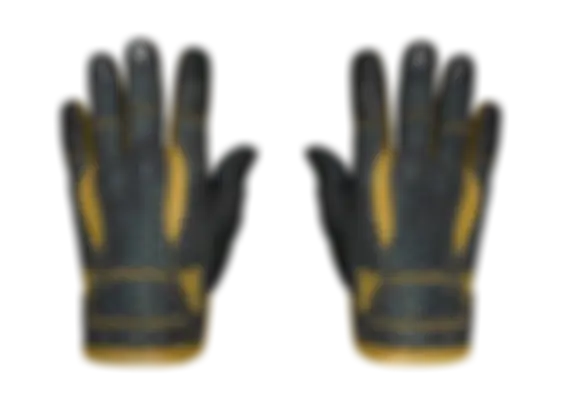 ★ Sport Gloves | Omega (Well-Worn) float preview 6 %