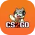 CS2GO logo