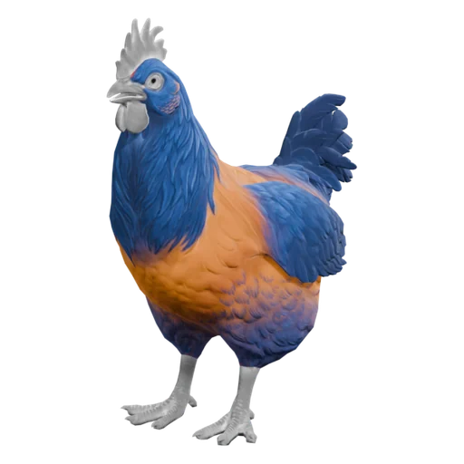 Catalana | Orange with Blue Neck