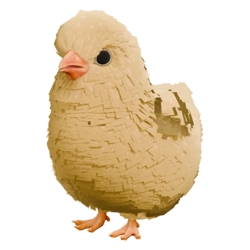 Chick