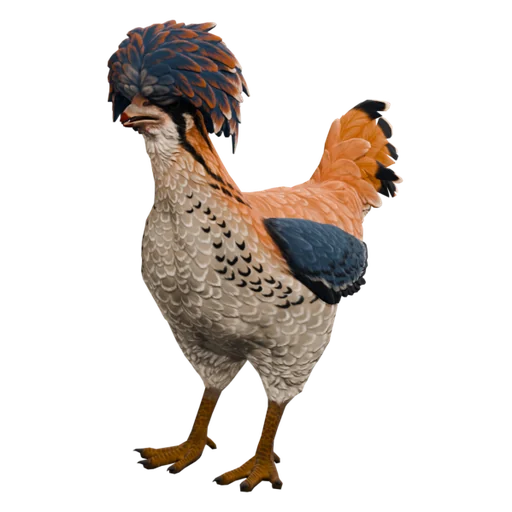 Polish | Orange, White & Blue