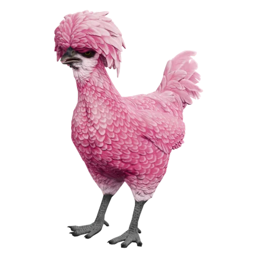 Polish | Pink