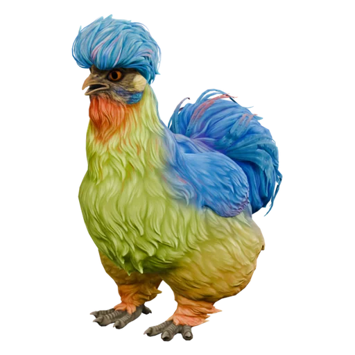 Silkie | Blue with Red Beard