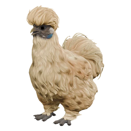 Silkie | Leopard