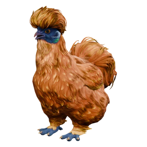 Silkie | Orange