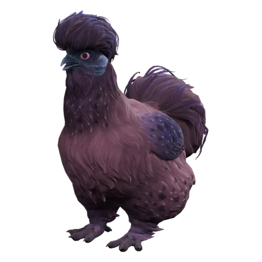 Silkie | Purple