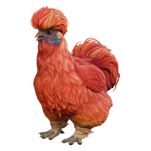 Silkie | Red