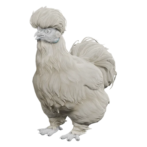 Silkie | White