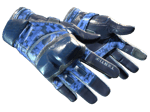 ★ Moto Gloves | Polygon (Field-Tested)