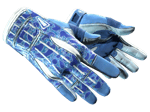 ★ Sport Gloves | Amphibious (Factory New)