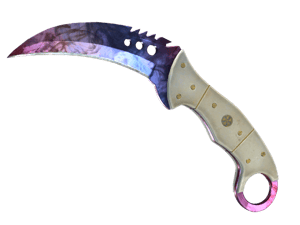 ★ Talon Knife | Doppler (Factory New) - Phase 1 item image