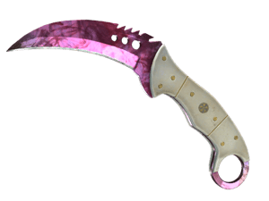 ★ Talon Knife | Doppler (Factory New) - Phase 2 item image